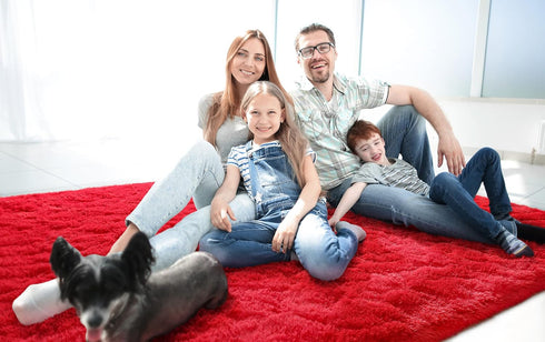 LOCHAS Ultra Soft Indoor Modern Area Rugs, Fluffy Living Room Carpets for Children Bedroom, 3x5 Feet, Red