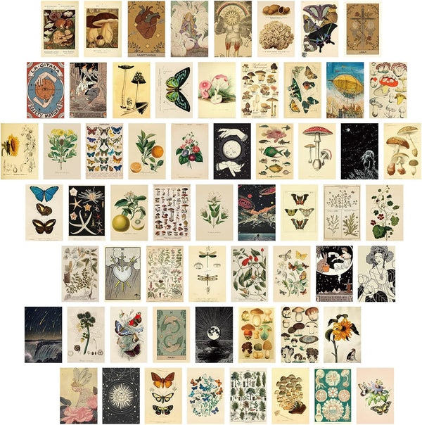 Containlol 60 Pcs Vintage Wall Collage Kit, Botanical Illustration Tarot Aesthetic Vintage Prints for Dorm Bedroom Decor