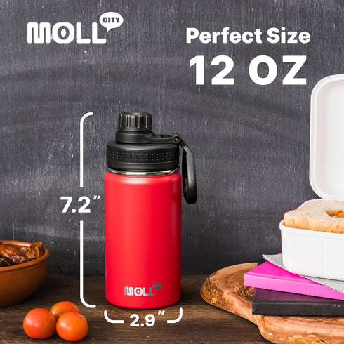 Kids Water Bottle with Spout Lid - 12 oz Small Insulated Sports Flask for School, Reusable Stainless Steel Leak Proof