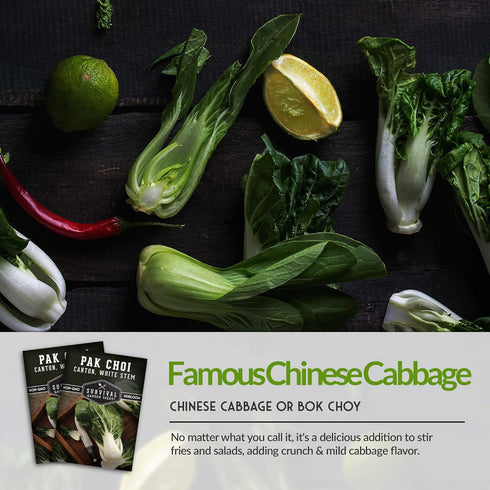 2 Packs Survival Garden Seeds - Canton White Stem Pak Choi or Bok Choy Seed for Planting - with Instructions to Grow