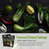 2 Packs Survival Garden Seeds - Canton White Stem Pak Choi or Bok Choy Seed for Planting - with Instructions to Grow