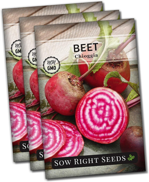 Sow Right Seeds - Chioggia Beet Seeds for Planting - Non-GMO Heirloom