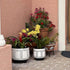 5 Pack Metal Plant Stands,Heavy Duty Potted Holder for Flower Pot,Indoor Outdoor Metal Rustproof Iron Garden Container