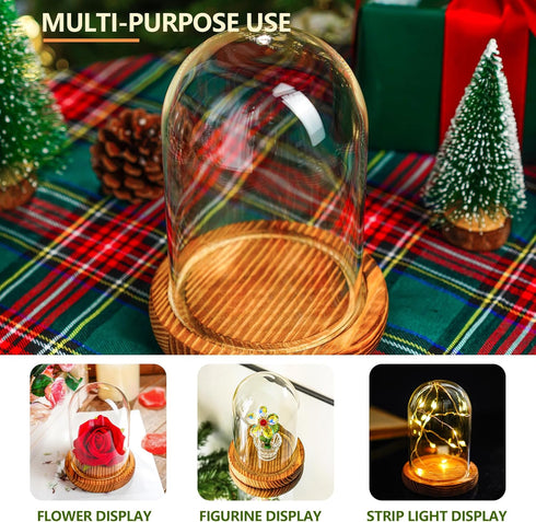 5.1" 3.9" ZEERSHEE Small Cloche Glass Dome with Wooden Base, Glass Display Dome Bell Jar for Plants, Keepsakes