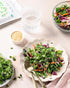 (16 oz) Organic Salad Mix Sprout Seeds Non-GMO, Heirloom Seeds for Sprouting and Microgreens - Alfalfa, Radish