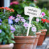 Yuanling Plant Labels, 60 Pack Large Plastic T-type Waterproof Garden Markers with Marker Pen