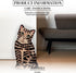 Pavilion Gift Company Small Brown Tabby Vase, 8-1/2-Inch Tall - Rescue Me Now
