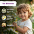 2,500 KVITER German Chamomile Seeds for Planting (Matricaria Chamomilla/Recutita) Heirloom & Non-Gmo Medicinal Herb