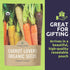 Pack 5 Packs 2026 Organic Carrot Seeds Variety - Individual - Season - Nantes, Little Finger, Dragon, Solar Yellow