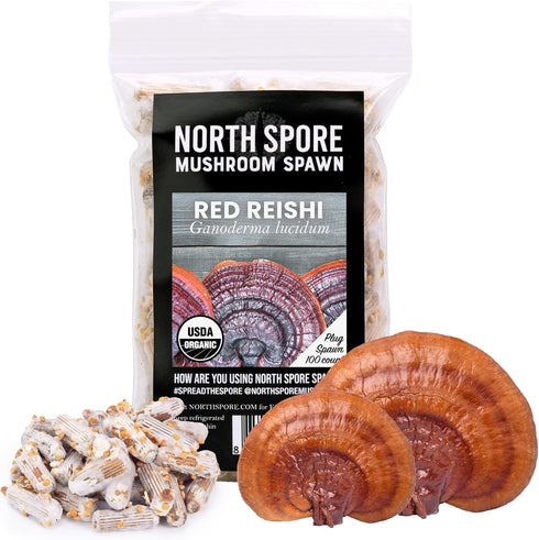 North Spore Organic Reishi (100 ct) Mushroom Plugs for Logs | Premium