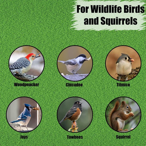 Old Potters 10 lbs Wildlife Shelled Peanuts, for Birds, Squirrels, and Wildlife. USA Grown Non-GMO, Organic Small Farm