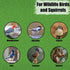 Old Potters 10 lbs Wildlife Shelled Peanuts, for Birds, Squirrels, and Wildlife. USA Grown Non-GMO, Organic Small Farm