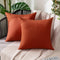 MIULEE Fall Pack of 2 Decorative Outdoor Solid Waterproof Throw Pillow Covers for Patio Garden 18x18 inch