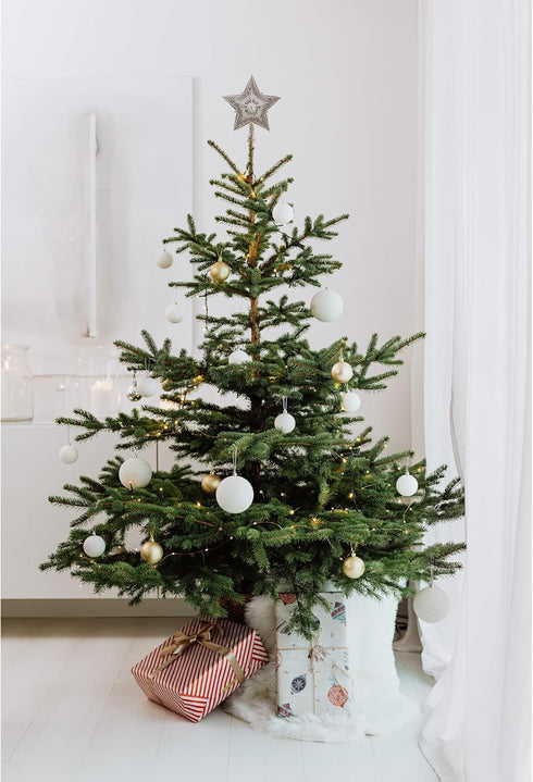 13.5-inch Star Treetop with Ivory Pearls and Platinum Glass Glitter by Kurt Adler