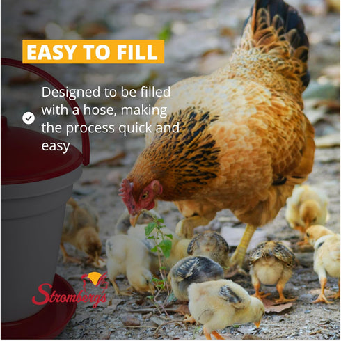 5 Stromberg's Gallon Bucket Waterer for Chicken Coops, Easy to Fill, Durable, Separate Legs for Elevation, Reduces