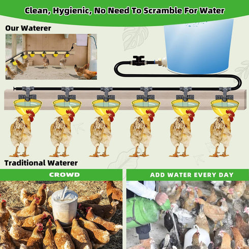 ayakol Set 18ft 6Cup) Complete Pipeline Automatic Chicken Waterer System, Innovative Quick-Connect Water System