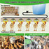 ayakol Set 18ft 6Cup) Complete Pipeline Automatic Chicken Waterer System, Innovative Quick-Connect Water System