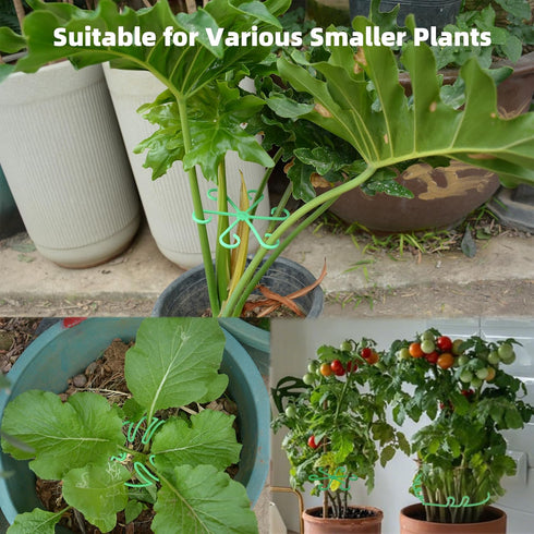 6PCS Plant Stem Supports for Indoor Plants, Reusable Monstera Plant Support, Plant Propagation Buddy, Sturdy Houseplant