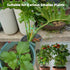 6PCS Plant Stem Supports for Indoor Plants, Reusable Monstera Plant Support, Plant Propagation Buddy, Sturdy Houseplant