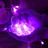 13ft 96 16 8 Decorman Butterfly Curtain Lights, LED USB Window Fairy Lights Butterflies Modes Firefly Twinkle Timer