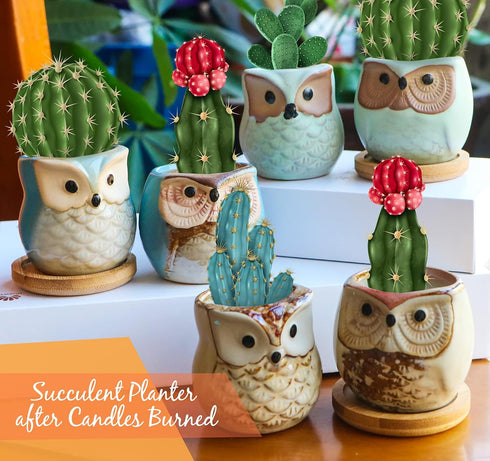 Citronella Candles Outdoor Gift Ideas, 6x3.5oz Novelty Owl Soy Candles for Garden, Porch, Outdoor Décor