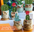 Citronella Candles Outdoor Gift Ideas, 6x3.5oz Novelty Owl Soy Candles for Garden, Porch, Outdoor Décor