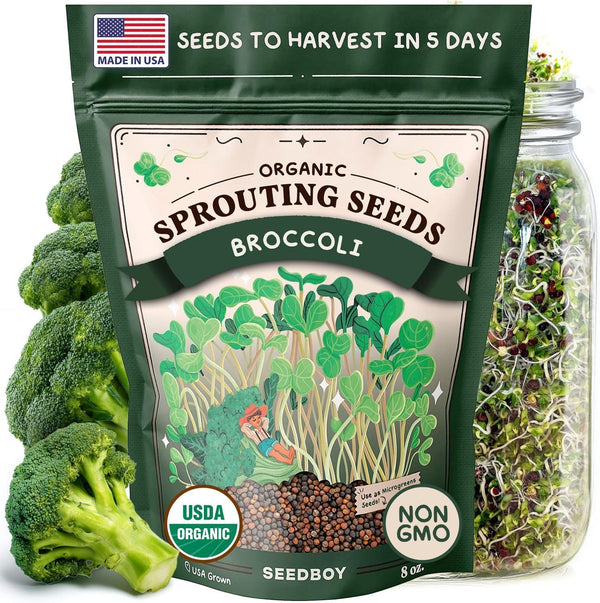 Seedboy Organic Non-GMO Broccoli Seeds for Sprouting - USA Grown Microgreens Sprouting