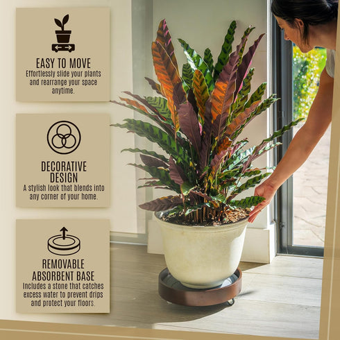 12" inch 360 Plant Caddy with Wheels Indoor Bamboo Rolling Plant Stand with Absorbent Stone, No Water Stains, Wheels