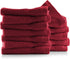 Hearth & Harbor Washcloths 12 Pack - 100% Cotton Washcloth for Body