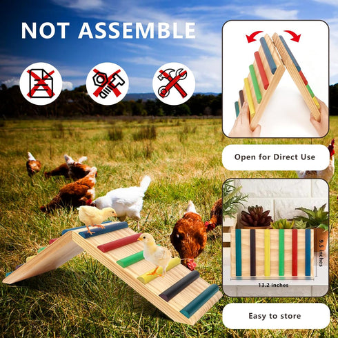 2 1 Rainbow Chicken Perch and Ramp Trainer, in Sturdy Wooden Chicken Roosting Bar, Baby Chick Toys for Brooder, Chicken