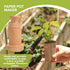 Wooden DIY Newspaper Plant Pot Maker Set, Plant Seed Dibber for Grow Your Own Seedlings Gardening Tool