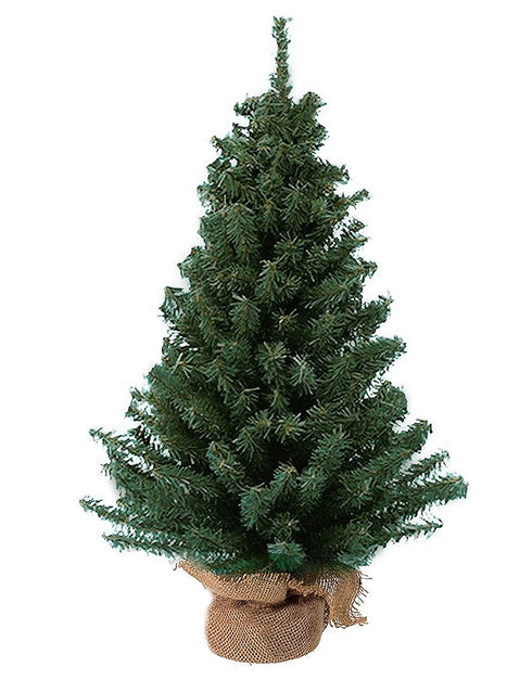Kurt Adler 12 Miniature Pine Trees for Holiday Decor
