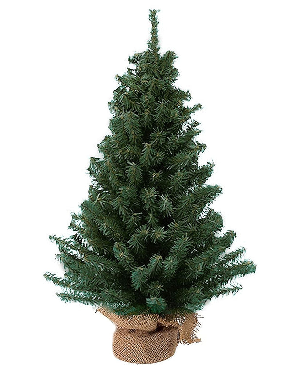 Kurt Adler 12 Miniature Pine Trees for Holiday Decor