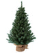 Kurt Adler 12 Miniature Pine Trees for Holiday Decor