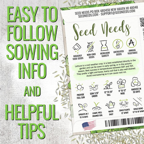 (1 Pack) Seed Needs Romaine Lettuce Seeds for Planting Parris Island COS - Non-GMO Heirloom & Untreated Annual Cool