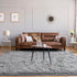 Jelymark Super Soft Shaggy Rug for Bedroom, 4x5.9 Feet Fluffy Carpet for Living Room, Grey Indoor Rug