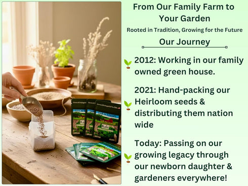 50,000+ 50 Hand-Packed, Packaging B&KM Farms Heirloom Seed Kit Varieties of Non-GMO Vegetable, Fruit & Herb Seeds