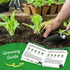 10 Pack Vegetable Seeds - Non GMO, Heirloom - Basil, Snap Pea, Broccoli, Bean, Jalapeo Pepper, Tomato, Lettuce