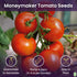 Moneymaker Tomato Seeds for Planting Large & Juicy One of the Most Delicious Tomatoes for Home Growing Vegetable Seeds
