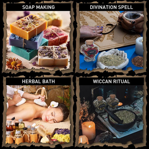 DreamdaMoonnly 20 Witchcraft Supplies Herbs Kit - Pcs Dried Herbs and Flowers for Witch Starter - Spell Herbs Jars
