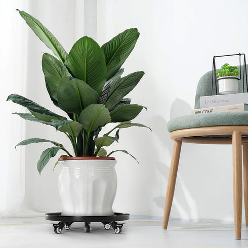 20" 440lbs Highpro Plant Stand with Wheels, Heavy Duty Planter Caddy for Outdoor Indoor with Lockable Casters Wheels