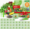 35 Heirloom Seeds Variety Pack - 21000+ Non-GMO Seeds for Planting Vegetables
