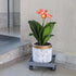 Sanbege 11" Plant Caddy with Wheels, Square Plant Pallet, Plant Pot Trolley (Grey)