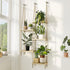 Bamworld Hanging Shelves Plant Hanger Indoor Window Plant Shelves Wood Plant Wall Shelf Window Sill Plant Shelf Indoor