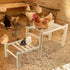 Vehomy Natural Wood Chicken Perch - Adjustable Roosting Ladder for Poultry