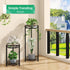 31 2 Pack, Simple Trending Round Plant Stand Indoor Outdoor, Waterproof Metal Tall Plant Shelf Holder, Heavy Duty