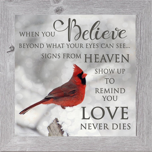 Summer Snow Cardinal Sympathy Picture | When You Believe Beyond What Your Eyes Can See | SS6848 - Framed Glittered