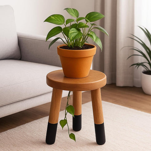 9" (10" Rubber Wood Round Plant Stand |Dip Dyed Black Stool, Wood Riser |Milking Stool H)