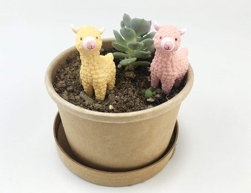 Set 2 of Miniature Resin Alpacas - Perfect for Fairy Gardens and Plant Decor