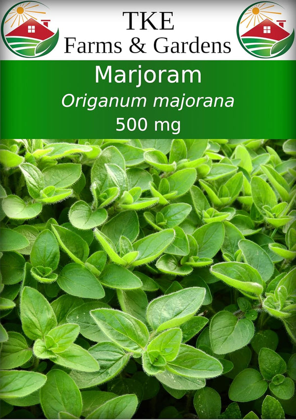 TKE Farms & Gardens - Marjoram Seeds for Planting, 500 Mg, 2000